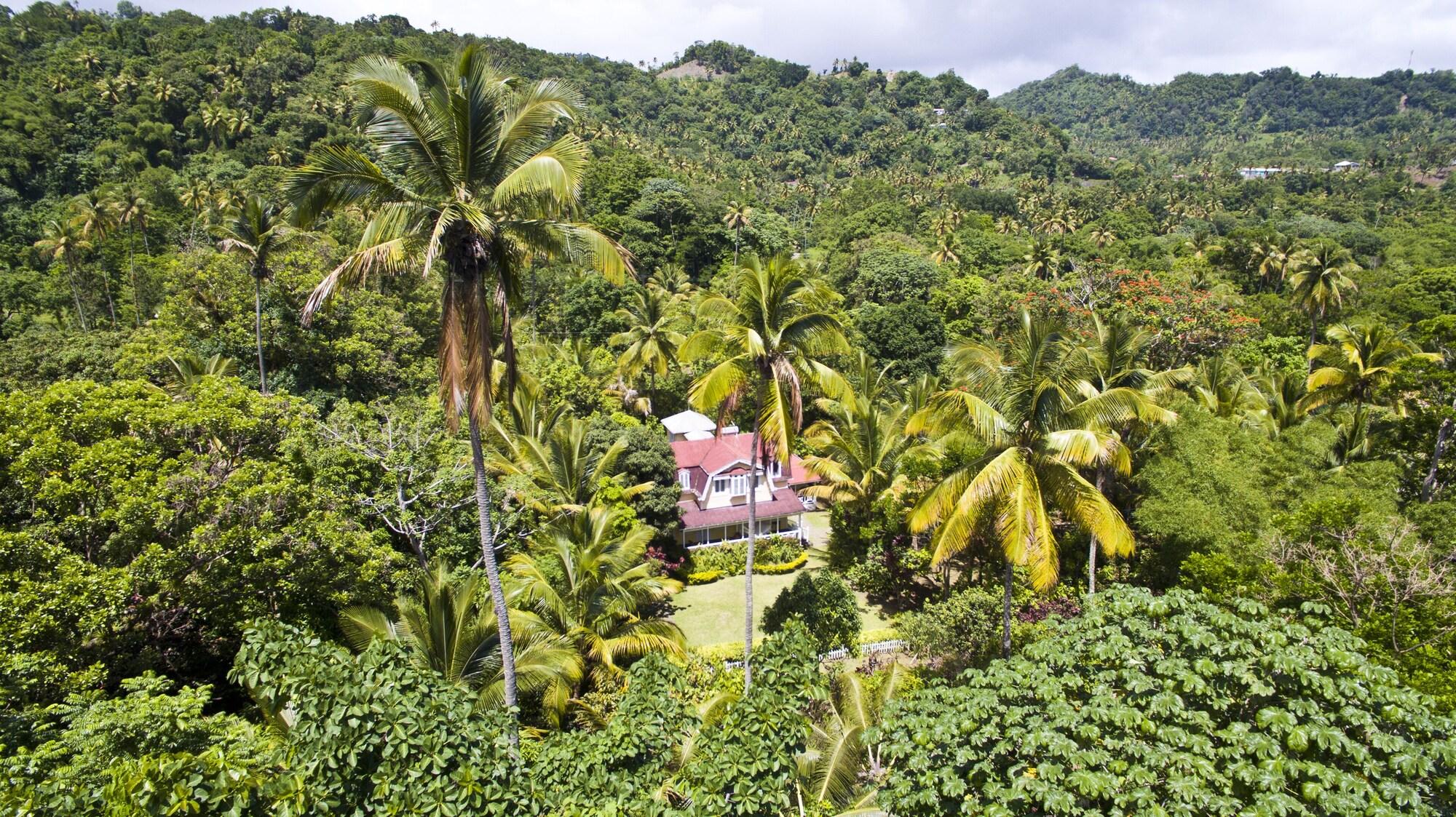 Fond Doux Eco Resort Soufrière エクステリア 写真
