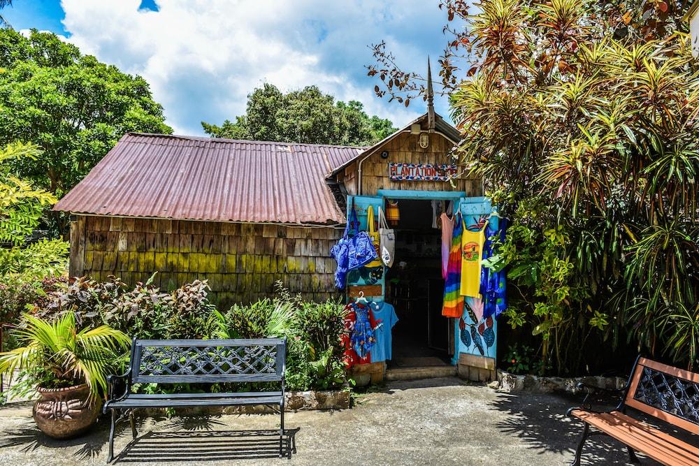 Fond Doux Eco Resort Soufrière エクステリア 写真