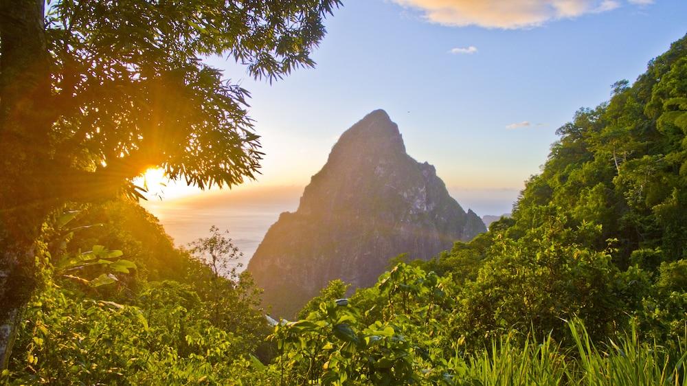 Fond Doux Eco Resort Soufrière エクステリア 写真