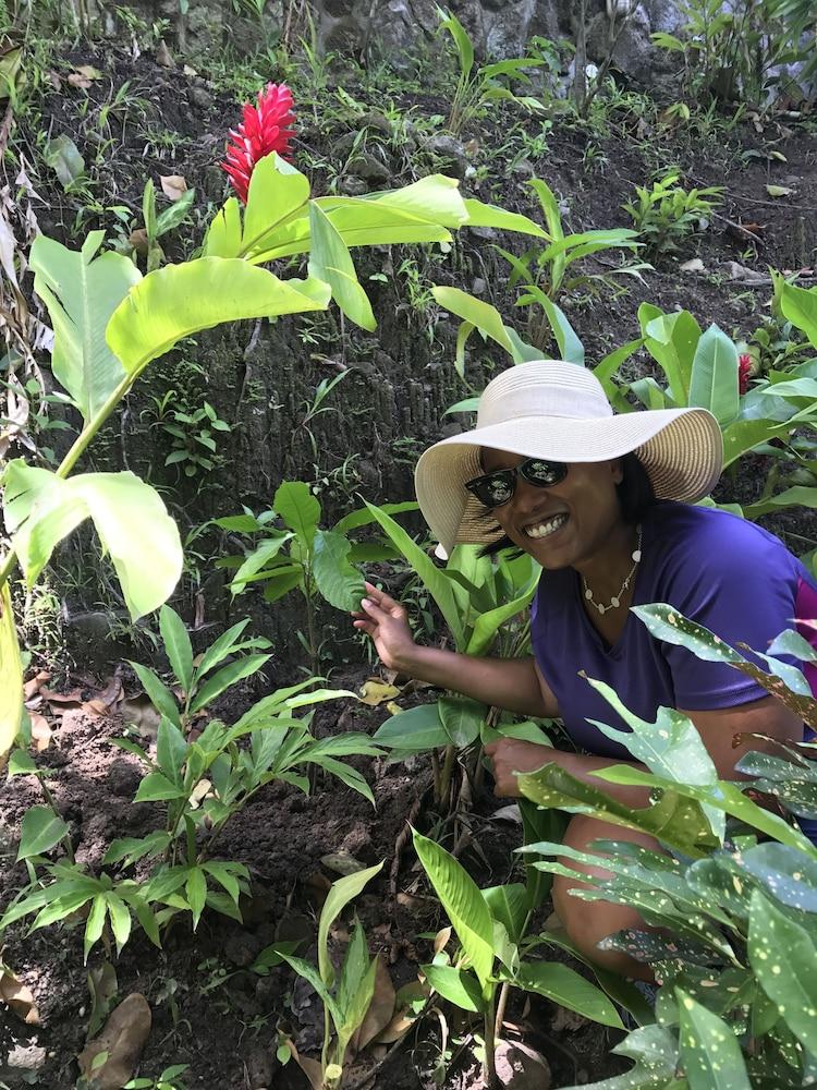 Fond Doux Eco Resort Soufrière エクステリア 写真